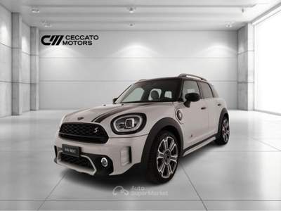 MINI Cooper Mini Countryman 1.5 Cooper SE Hype all4 auto Argento usata Padova