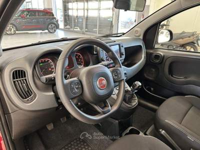 Fiat Panda 1.0 FireFly Hybrid Cross Rosso usata Moncalieri