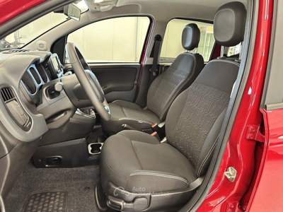 Fiat Panda 1.0 FireFly Hybrid Cross Rosso usata Moncalieri