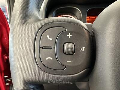 Fiat Panda 1.0 FireFly Hybrid Cross Rosso usata Moncalieri
