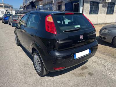 Fiat Punto Street 5PT Nero usata Mentana
