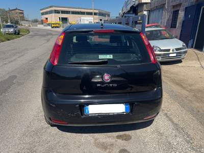Fiat Punto Street 5PT Nero usata Mentana