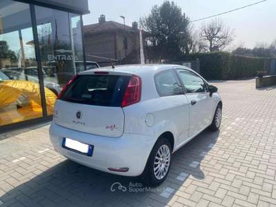 Fiat Punto 1.2 Sport 69cv usata Pinerolo