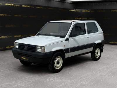 Fiat Panda 1000 4x4 Clx Bianco usata Cassola