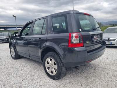 Land Rover Freelander Freelander 2.2 TD4 Grigio usata Prato