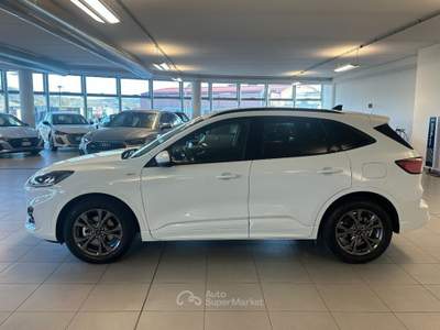 Ford Kuga 2.500 BENZINA FULL HYBRID 190 CV ST-LINE C.AUTO Bianco usata Alba