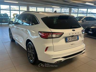 Ford Kuga 2.500 BENZINA FULL HYBRID 190 CV ST-LINE C.AUTO Bianco usata Alba