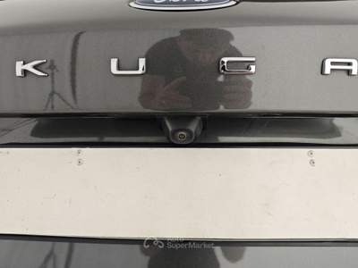 Ford Kuga 2.0 EcoBlue 120 CV aut. 2WD Titanium Grigio usata Capua
