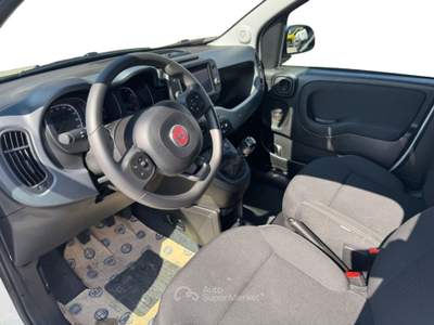 Fiat Panda 1.0 70cv hybrid cross Bianco usata Fisciano