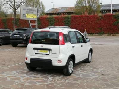 Fiat Panda FireFly S&S Hybrid 4 Posti Bianco usata VEDELAGO
