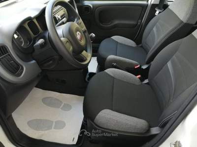Fiat Panda FireFly S&S Hybrid 4 Posti Bianco usata VEDELAGO