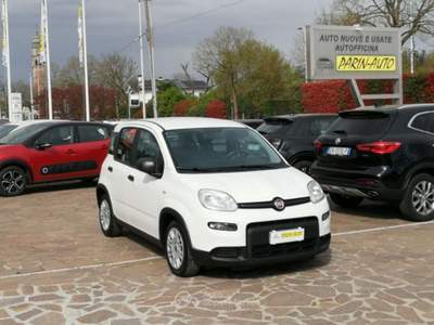 Fiat Panda FireFly S&S Hybrid 4 Posti Bianco usata VEDELAGO
