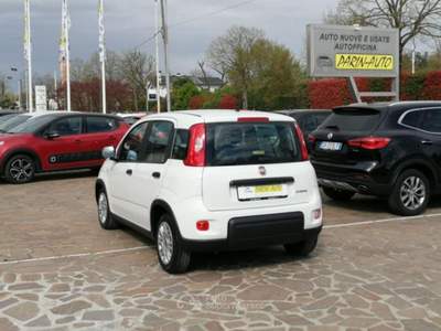 Fiat Panda FireFly S&S Hybrid 4 Posti Bianco usata VEDELAGO
