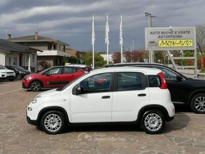 Fiat Panda FireFly S&S Hybrid 4 Posti Bianco usata VEDELAGO