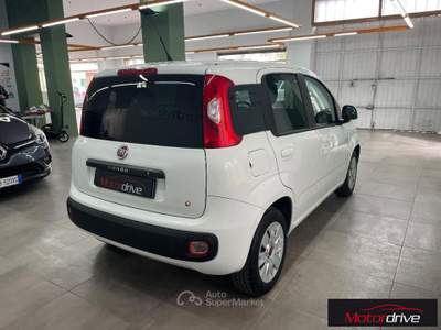 Fiat Panda 1.2 EasyPower Easy Bianco usata Povegliano Veronese