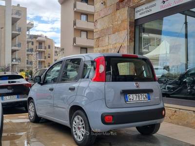 Fiat Panda FireFly S&S Hybrid Grigio usata Altamura