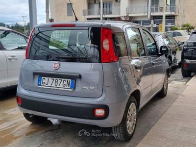 Fiat Panda FireFly S&S Hybrid Grigio usata Altamura