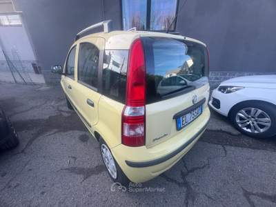 Fiat Panda vettura per neo patentati Giallo usata Casarile