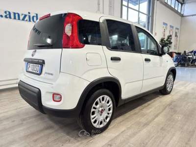 Fiat Panda Van 1.0 Hybrid 2 posti Bianco usata Roma