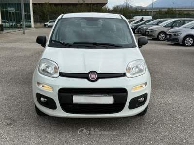 Fiat Panda 1.3 MJT AUTOCARRO 4 POSTI N1 Bianco usata San Salvatore Telesino