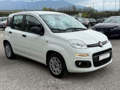Fiat Panda 1.3 MJT AUTOCARRO 4 POSTI N1 Bianco usata San Salvatore Telesino