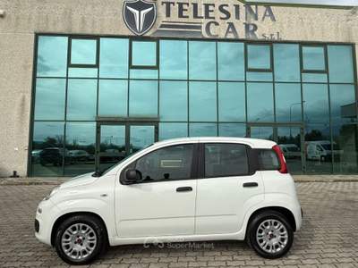 Fiat Panda 1.3 MJT AUTOCARRO 4 POSTI N1 Bianco usata San Salvatore Telesino