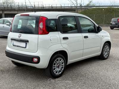Fiat Panda 1.3 MJT AUTOCARRO 4 POSTI N1 Bianco usata San Salvatore Telesino