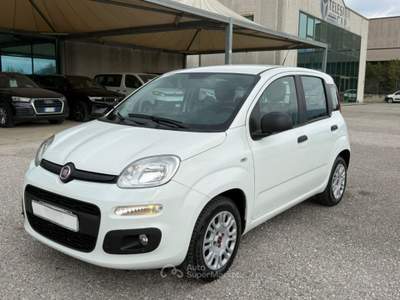 Fiat Panda 1.3 MJT AUTOCARRO 4 POSTI N1 Bianco usata San Salvatore Telesino
