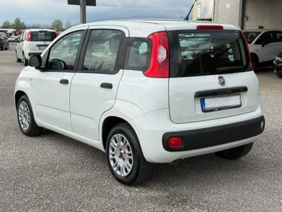 Fiat Panda 1.3 MJT AUTOCARRO 4 POSTI N1 Bianco usata San Salvatore Telesino