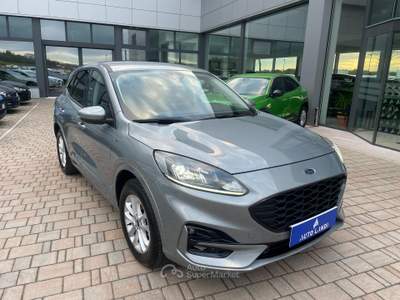 Ford Kuga 1.5 ecoblue ST-Line 2wd 120cv Grigio usata Sarego