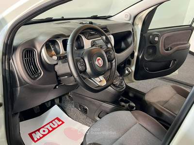 Fiat Panda Panda 1.3 mjt 16v Cross 4x4 s&s 95cv my19 Bianco usata Teglio