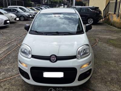Fiat Panda SOLO 98000 KM OTTIME CONDIZIONI GARANZIA 12 MESI Bianco usata Mercato San Severino