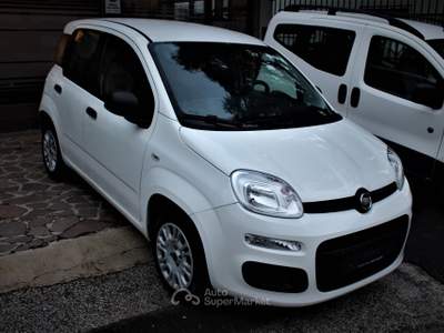 Fiat Panda Easy Neopatentati Bianco usata Lavis