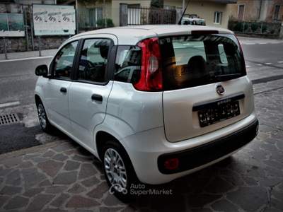 Fiat Panda Easy Neopatentati Bianco usata Lavis