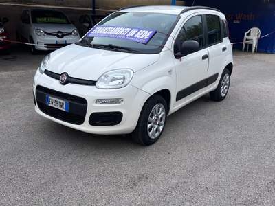 Fiat Panda Nord Italia usata Giugliano in Campania