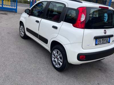 Fiat Panda Nord Italia usata Giugliano in Campania