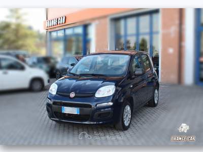 Fiat Panda Panda 1.2 Easy Blu/Azzurro usata San Miniato