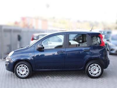 Fiat Panda Panda 1.2 Easy Blu/Azzurro usata San Miniato