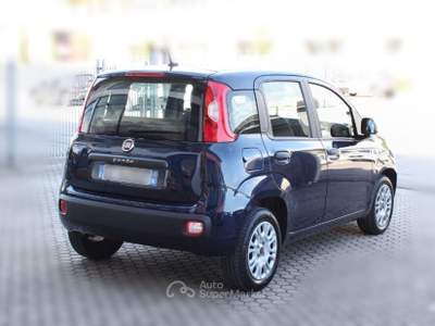 Fiat Panda Panda 1.2 Easy Blu/Azzurro usata San Miniato