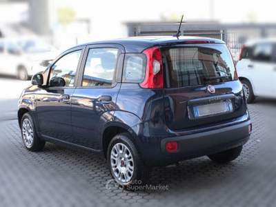 Fiat Panda Panda 1.2 Easy Blu/Azzurro usata San Miniato