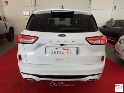 Ford Kuga  2.0 ecoblue ST-Line 2wd 120cv auto Bianco usata Casarsa della Delizia
