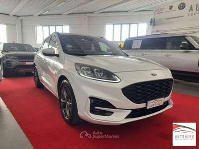 Ford Kuga  2.0 ecoblue ST-Line 2wd 120cv auto Bianco usata Casarsa della Delizia
