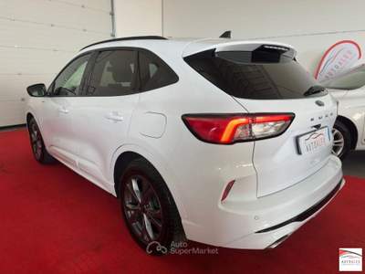 Ford Kuga  2.0 ecoblue ST-Line 2wd 120cv auto Bianco usata Casarsa della Delizia