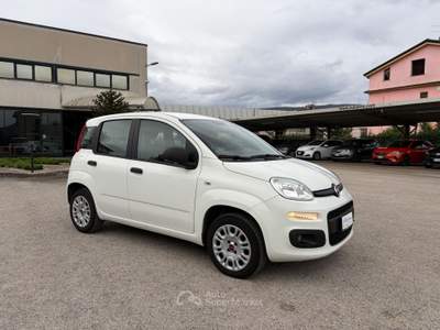 Fiat Panda VETTURA DEL MERCATO ITALIANO Bianco usata SANT'AGATA DE'  GOTI