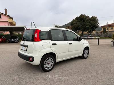 Fiat Panda VETTURA DEL MERCATO ITALIANO Bianco usata SANT'AGATA DE'  GOTI