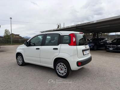 Fiat Panda VETTURA DEL MERCATO ITALIANO Bianco usata SANT'AGATA DE'  GOTI