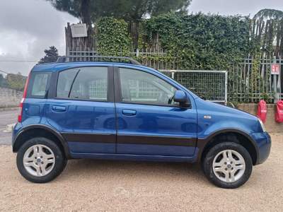 Fiat Panda 4x4 Climbing Blu/Azzurro usata Altamura