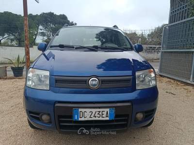 Fiat Panda 4x4 Climbing Blu/Azzurro usata Altamura