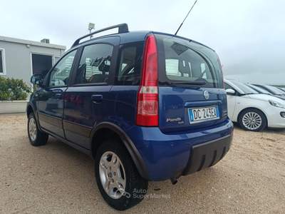 Fiat Panda 4x4 Climbing Blu/Azzurro usata Altamura
