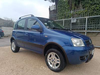 Fiat Panda 4x4 Climbing Blu/Azzurro usata Altamura